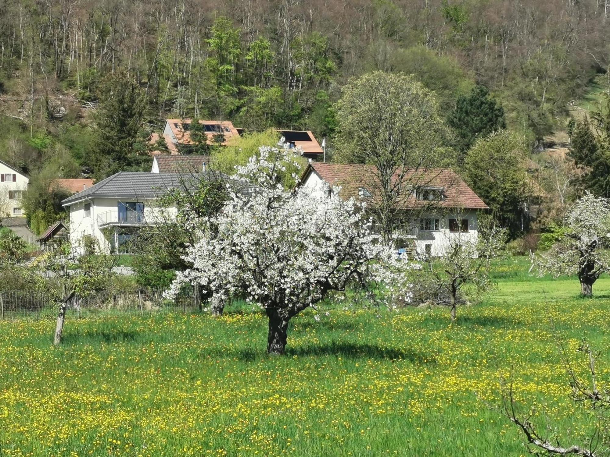 Vreni'S Gaestezimmer Himmelried Exterior photo